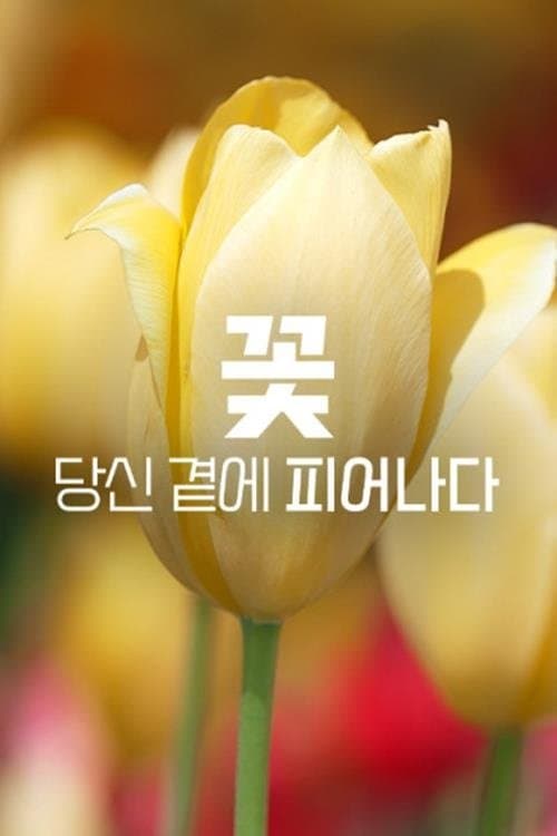 꽃, 당신 곁에 피어나다