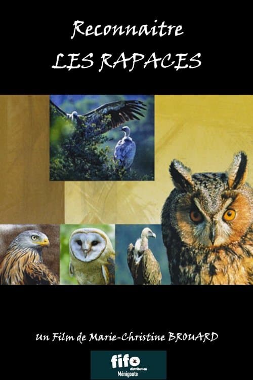 Reconnaitre les Rapaces