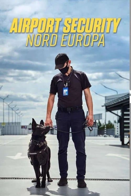 Na straży duńskiego lotniska