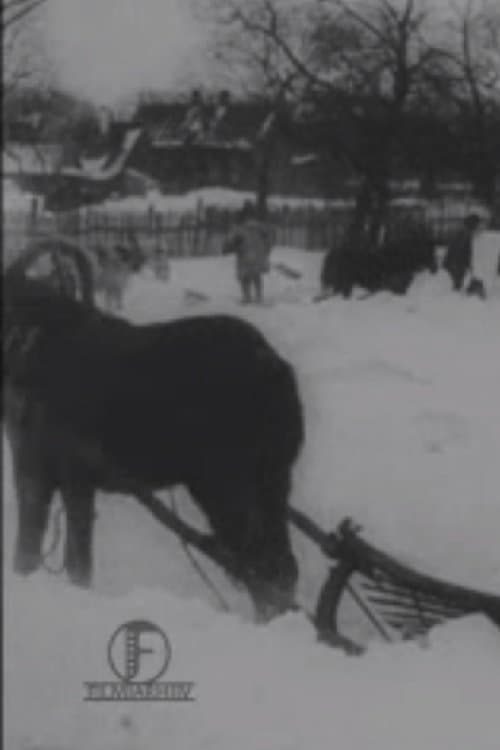 The Great Blizzard in the Baltics in December