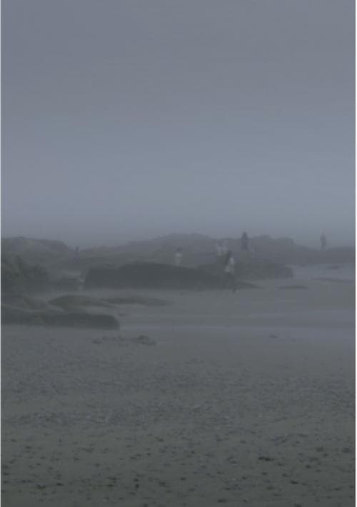 The Fog Has Covered The Moment Again