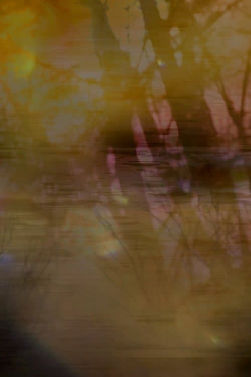 MAY RENDER