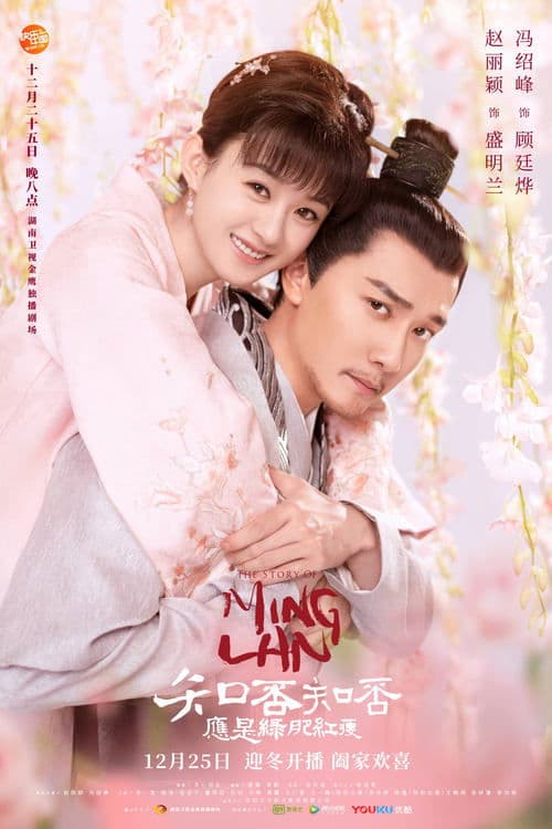 知否知否应是绿肥红瘦 (DVD版)