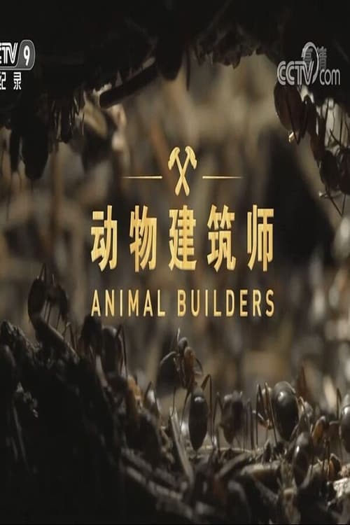 动物建筑师