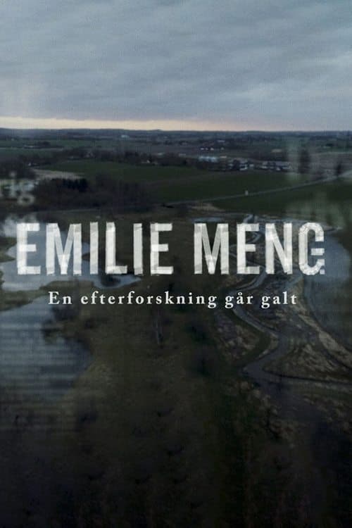 Emilie Meng - an investigation goes awry