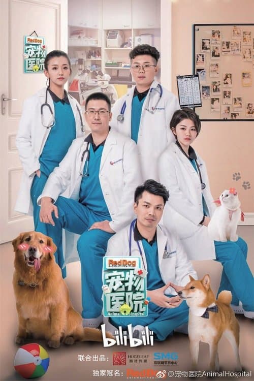 Animal Hospital