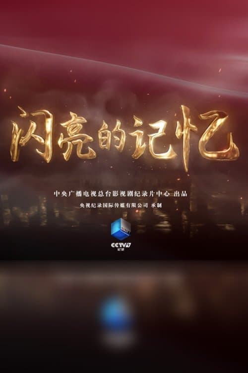 闪亮的记忆