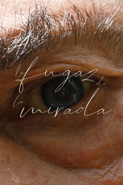 Lo fugaz de la mirada