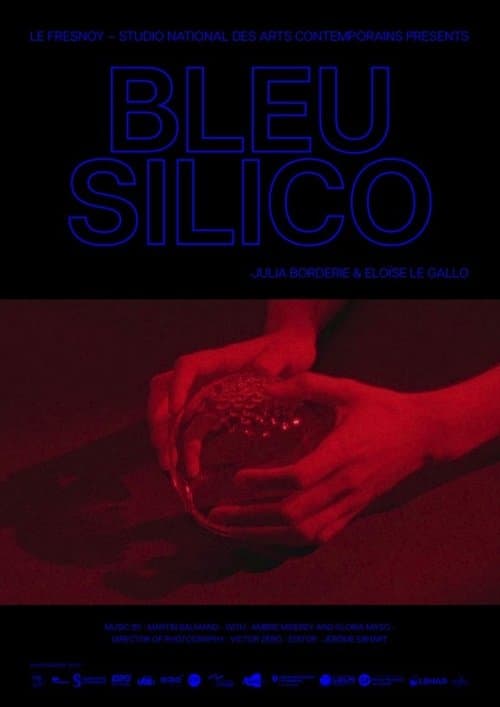 Bleu Silico