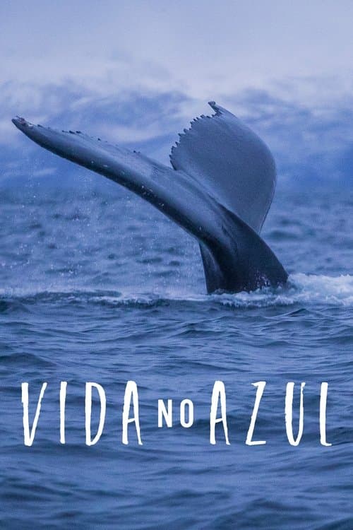 Vida no Azul