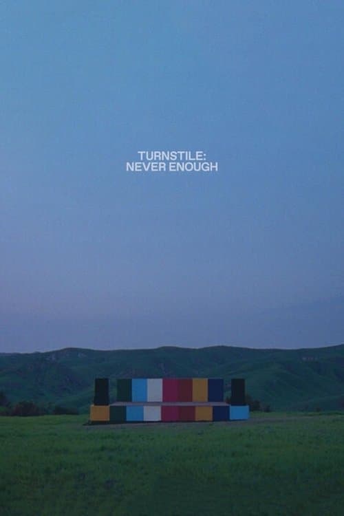 TURNSTILE: NEVER ENOUGH