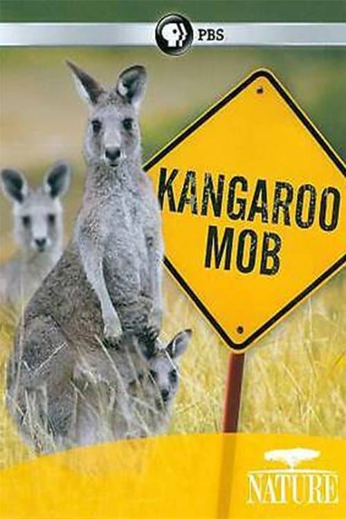 Kangaroo Mob