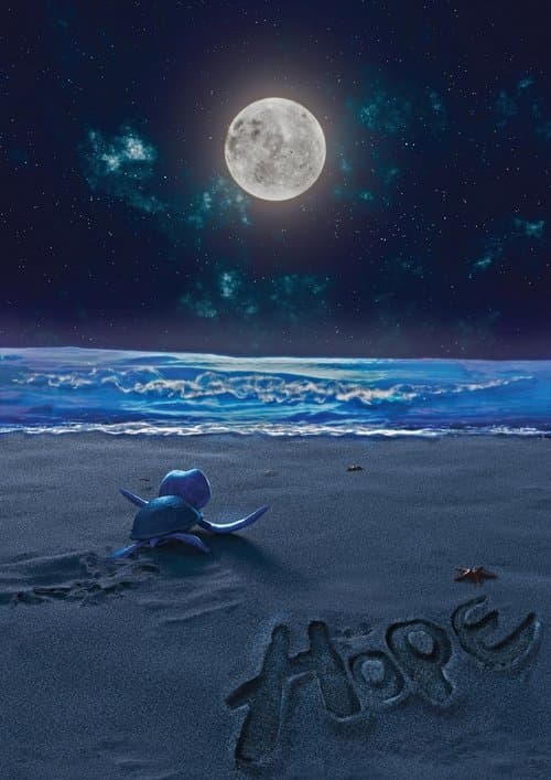 Hope