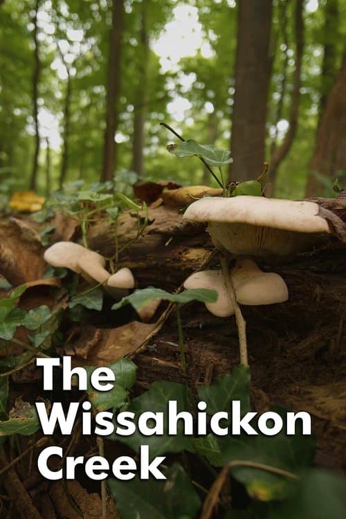 The Wissahickon Creek