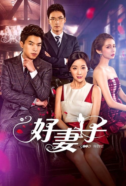 Good Wife