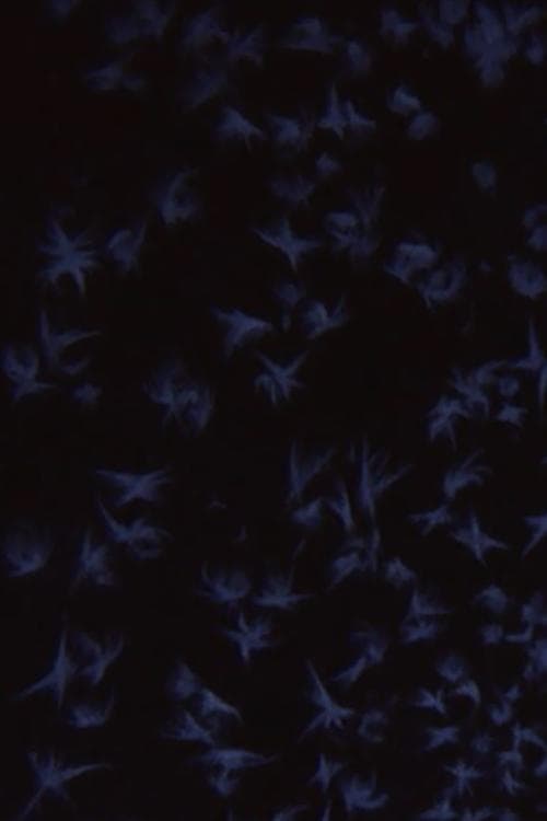 Albedo 0.97