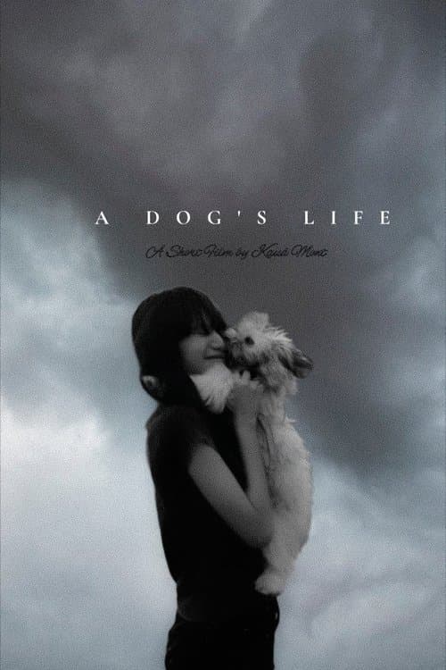 A Dog's Life