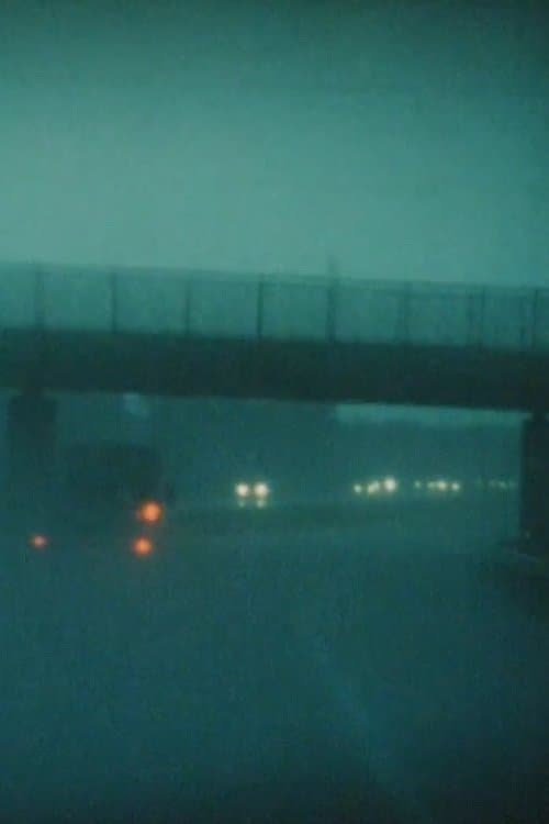 Petrichor