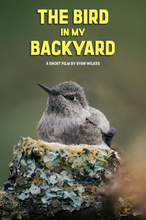 The Bird in My Backyard