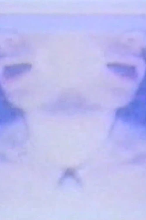The Heavens