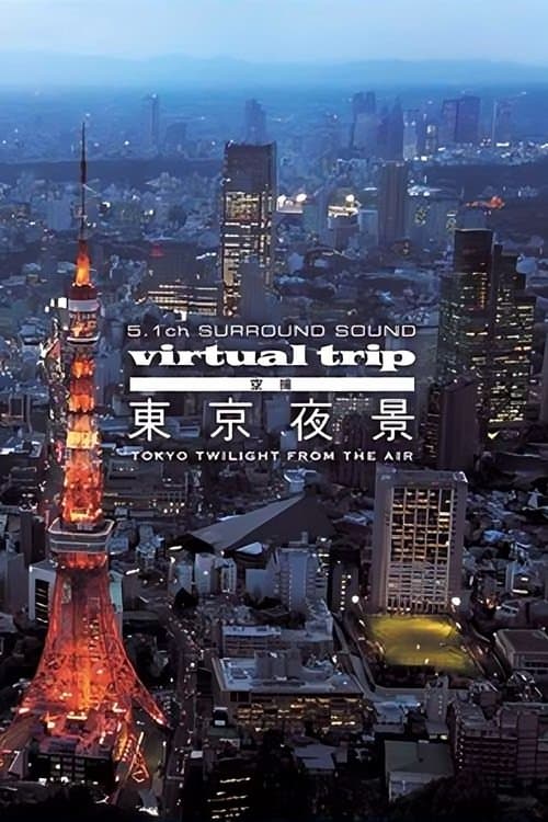 Virtual Trip: Tokyo Twilight from the Air