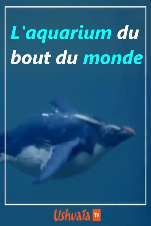 L'aquarium du bout du monde