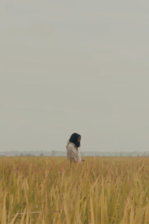 The Lost Piece