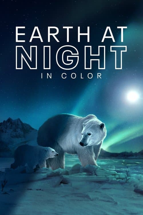Earth at Night in Colour