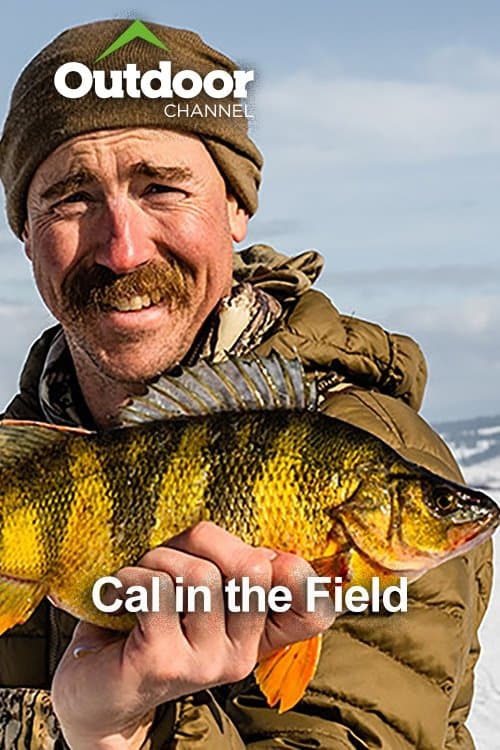 Cal in the Field