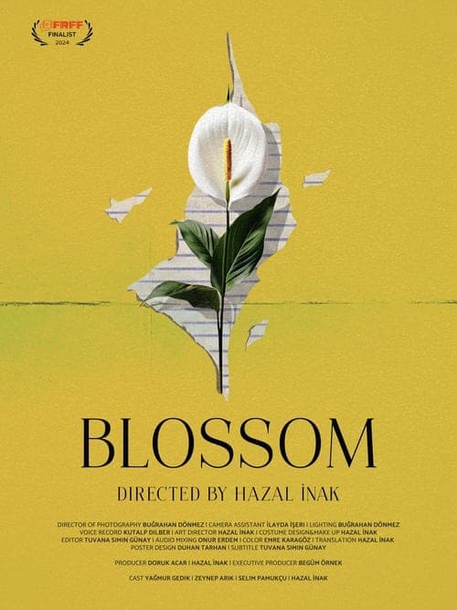 Blossom