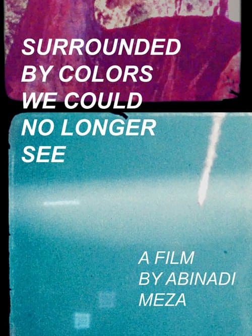 Surrounded by Colors We Could No Longer See