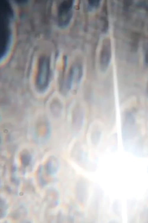 A Wet Shield