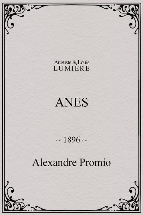 Anes