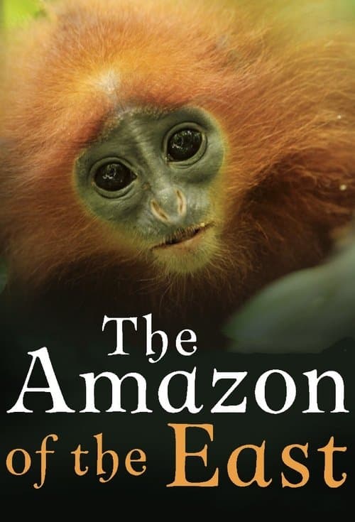 The Amazon of the East