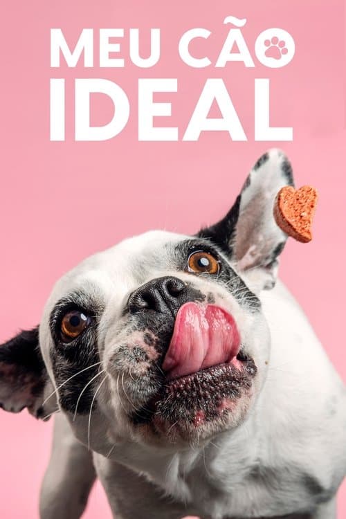 Mi perro ideal
