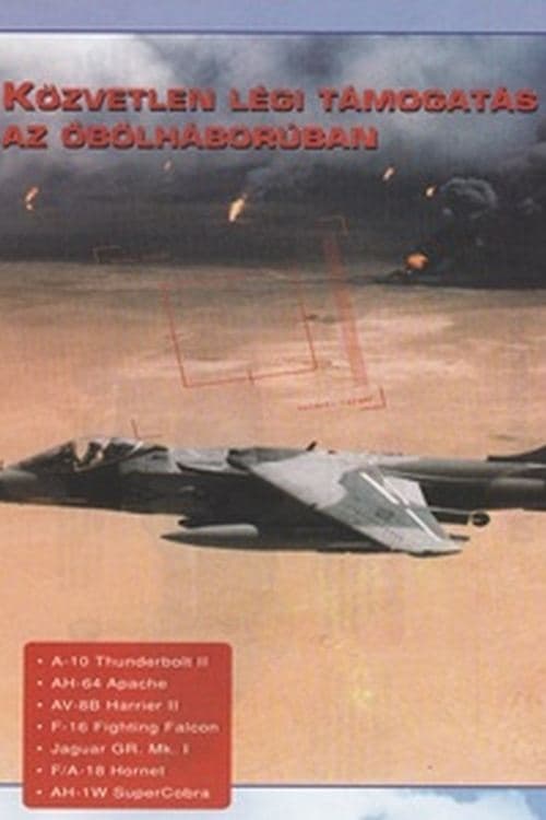 Combat in the Air - Close Air Support in the Gulf