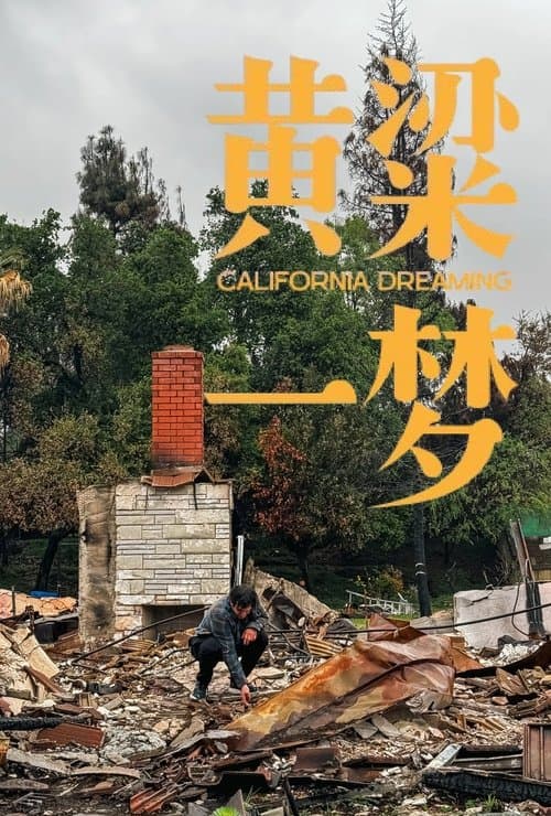 美洲大宝荐：黄粱一梦